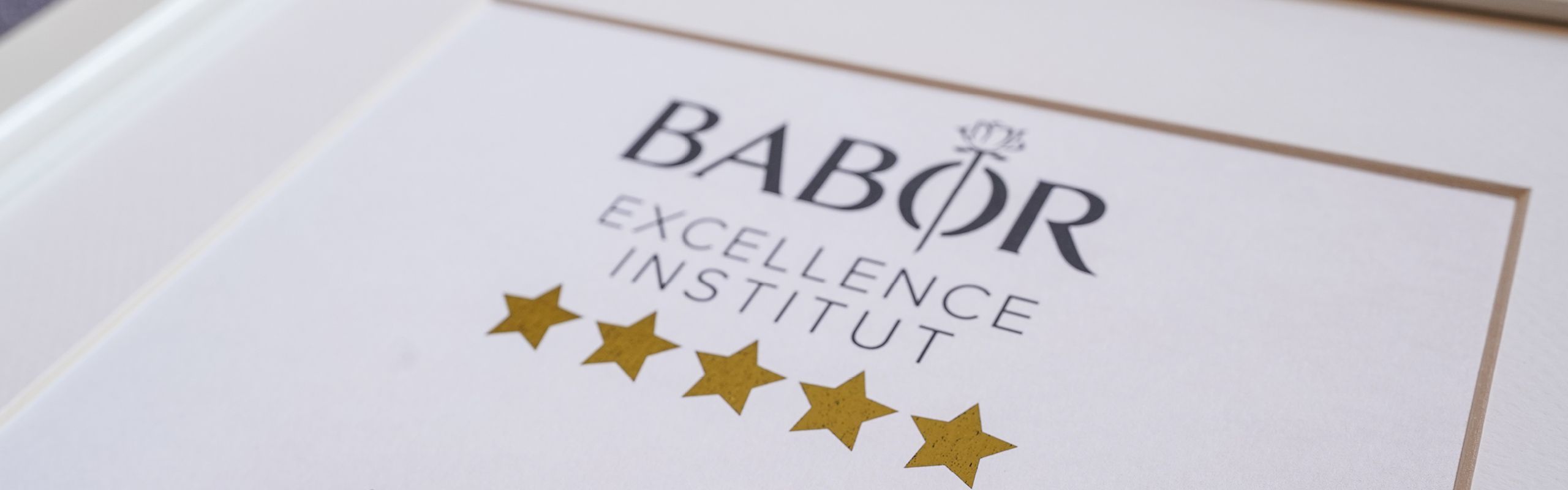 Slider Exellence Institut